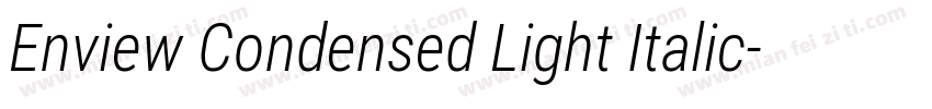 Enview Condensed Light Italic字体转换